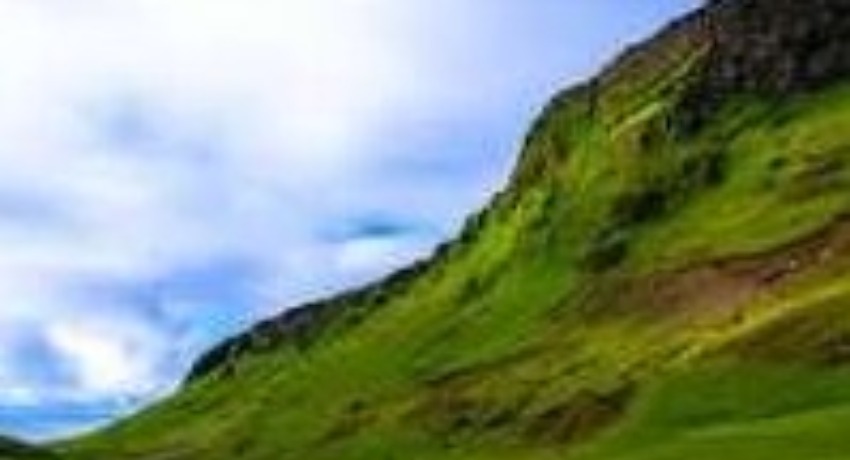 传媒风向标 - 大象传媒免费高清完整版 - 内容营销风向前沿指引平台