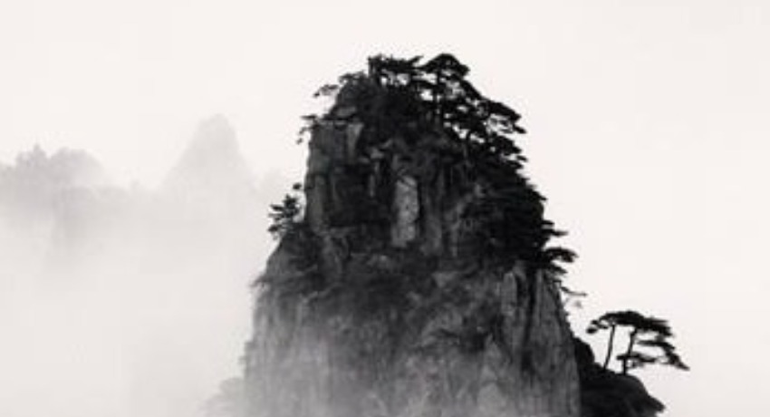 大象传媒